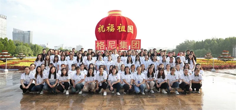 Partition Metal Garden Screen Partition Metal Garden Screen